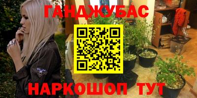 Альфа ПВП Бийск