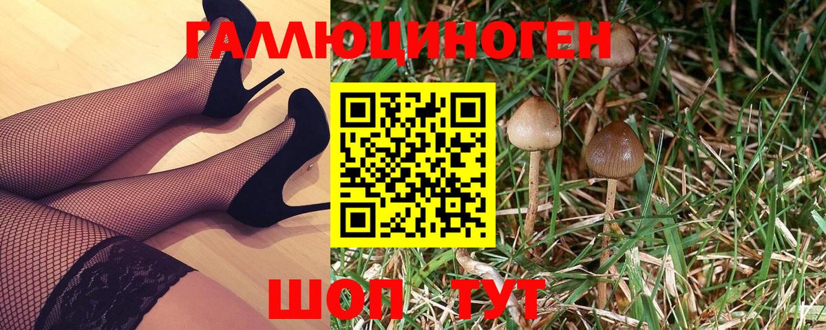 Галлюциногенные грибы Magic Shrooms  Вход с VPN  наркотики  Гудермес 