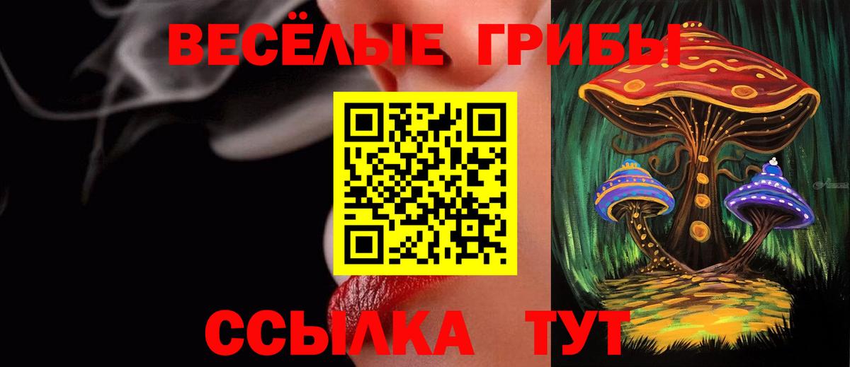 Галлюциногенные грибы ЛСД Гудермес