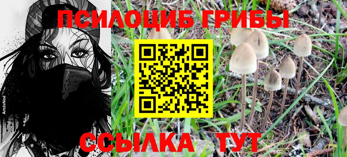 Псилоцибиновые грибы ЛСД Гудермес